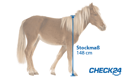 Stockmaß als Grundlage der Bezeichnung Pony