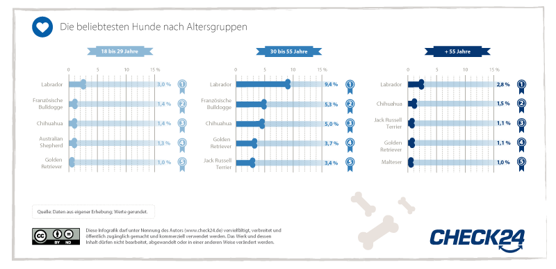 Auflistung der beliebtesten Hunderassen verschiedener Altersgruppen