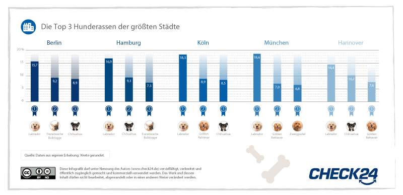 Auflistung der beliebtesten Hunderassen in deutschen Großstädten