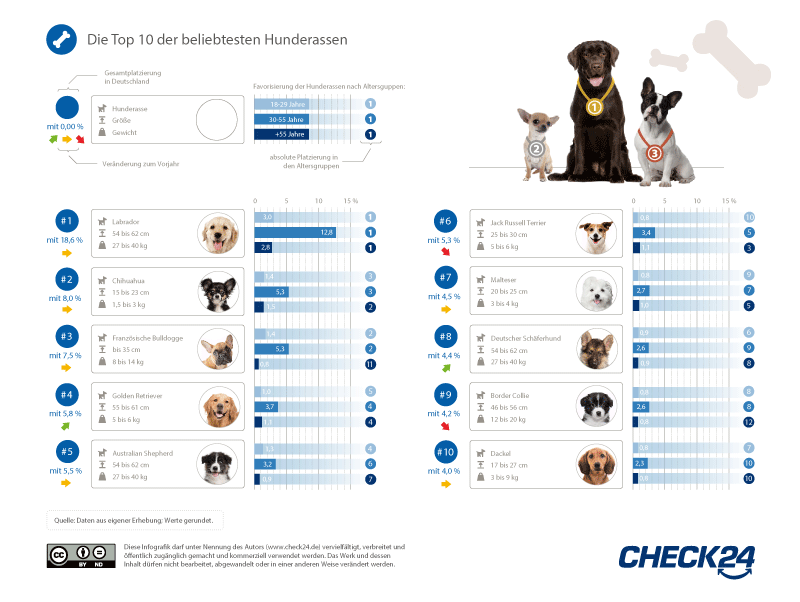 Auflistung der Top Ten Hunderassen 2023