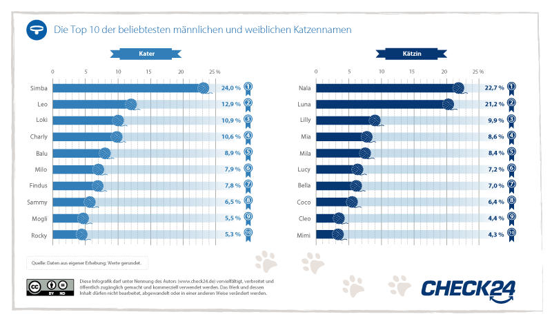 Top Katzennamen