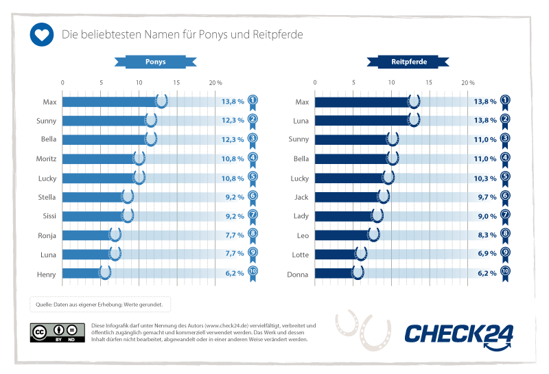 Beliebteste Namen für Ponys und Reitpferde