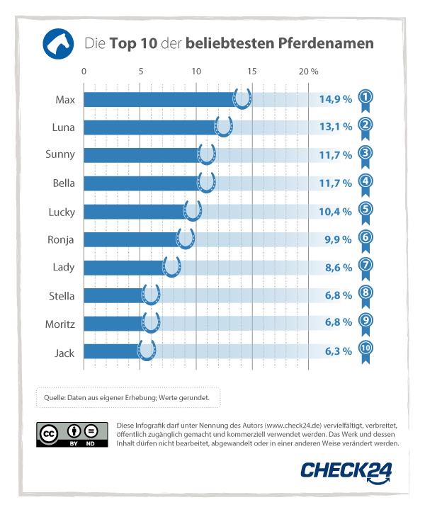 Pferdenamen Top 10