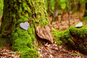 Ein mit Moos bewachsener Baumstamm. Davor lehnt ein aus Holz geschnitztes Herz.