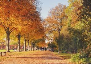 Stadtpark im Herbst mit Menschen im Hintergrund