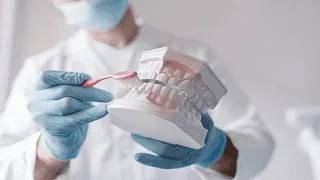 Ein Zahnarzt hält ein Modell eines Gebisses und zeigt die richtige Zahnputztechnik mit einer Zahnbürste.
